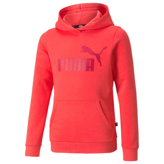 Puma Παιδικό φούτερ Logo Hoodie